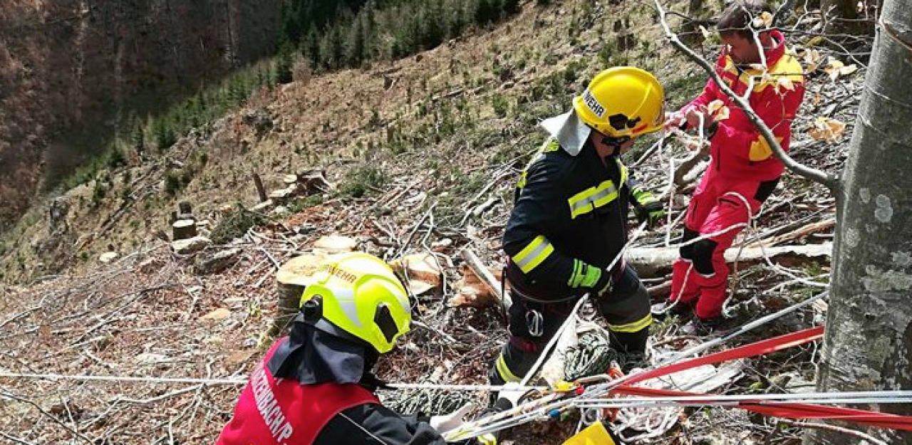 Heute.at - 35-jähriger Forstarbeiter stirbt bei Absturz