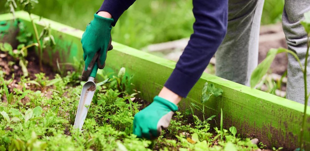 Gärtnern im Frühling: Auch in der Stadt gibt es zahlreiche Optionen, den Frühling von seiner schönsten Seite zu erleben.