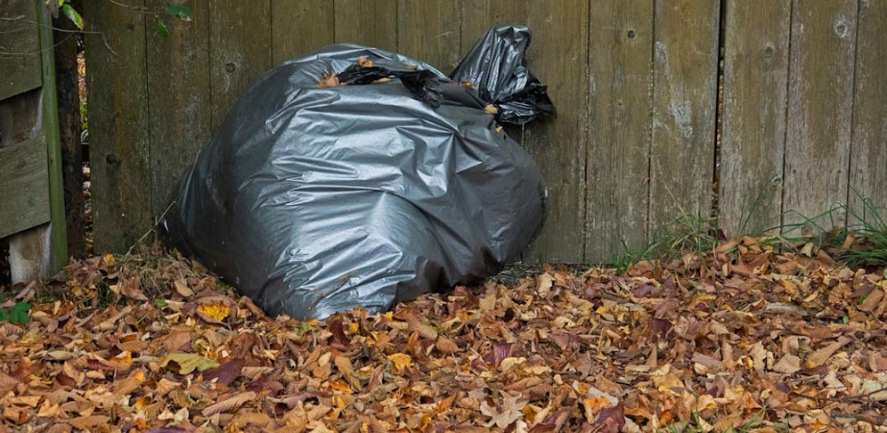 Die toten Hunde wurden in Plastiksäcken entsorgt.