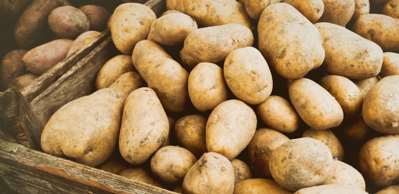 Ein österreichischer Klassiker: Erdäpfel - bald unbezahlbarer Luxusartikel?