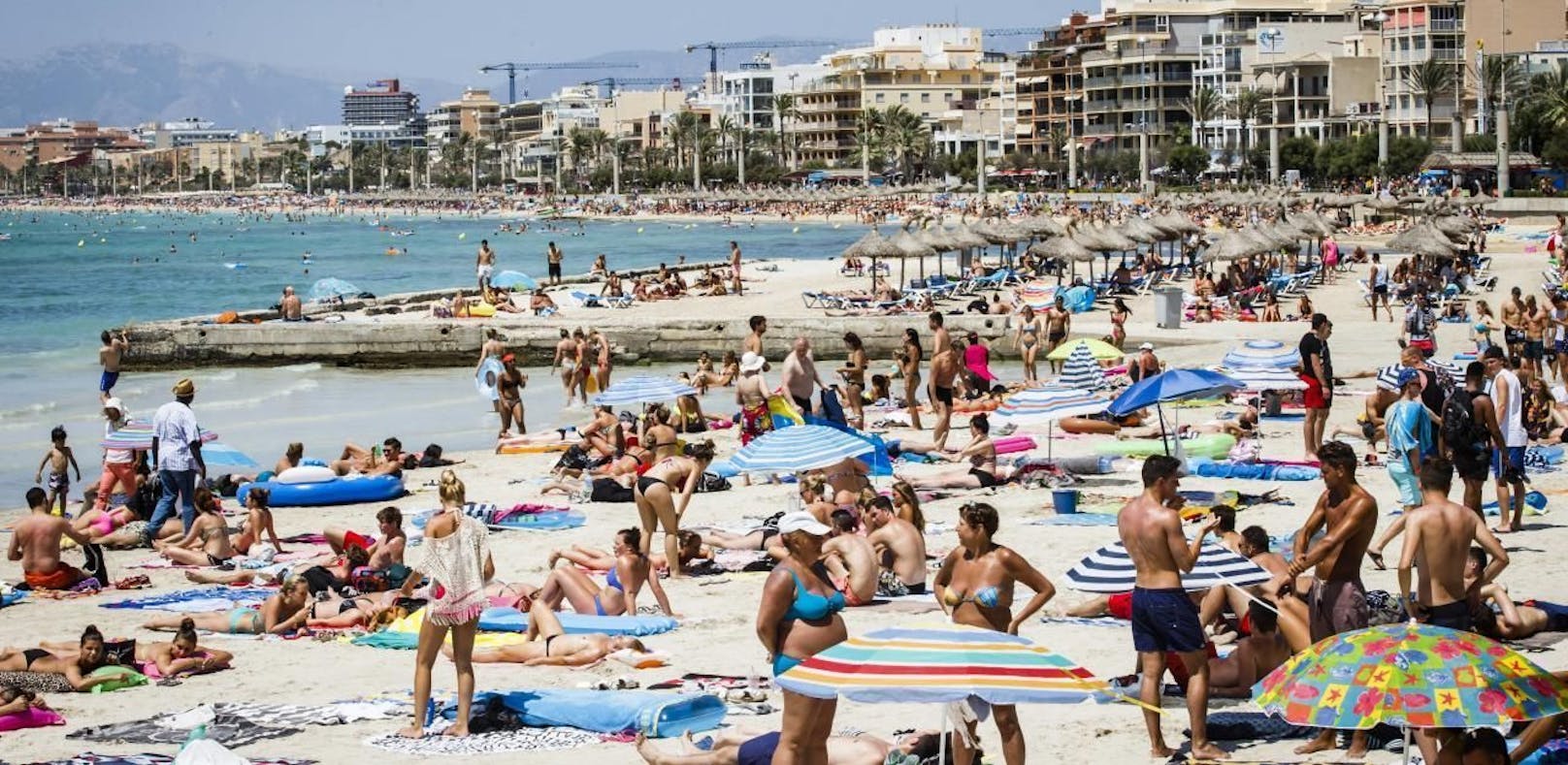 Mallorca: Eine der beliebtesten Ferieninseln im Mittelmeer