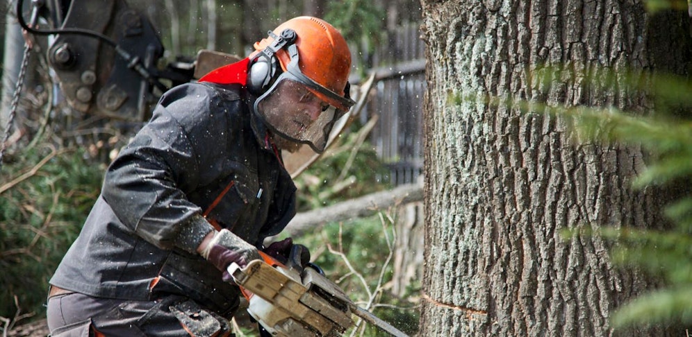 Landwirt bei Forstarbeiten von Baum getroffen. 