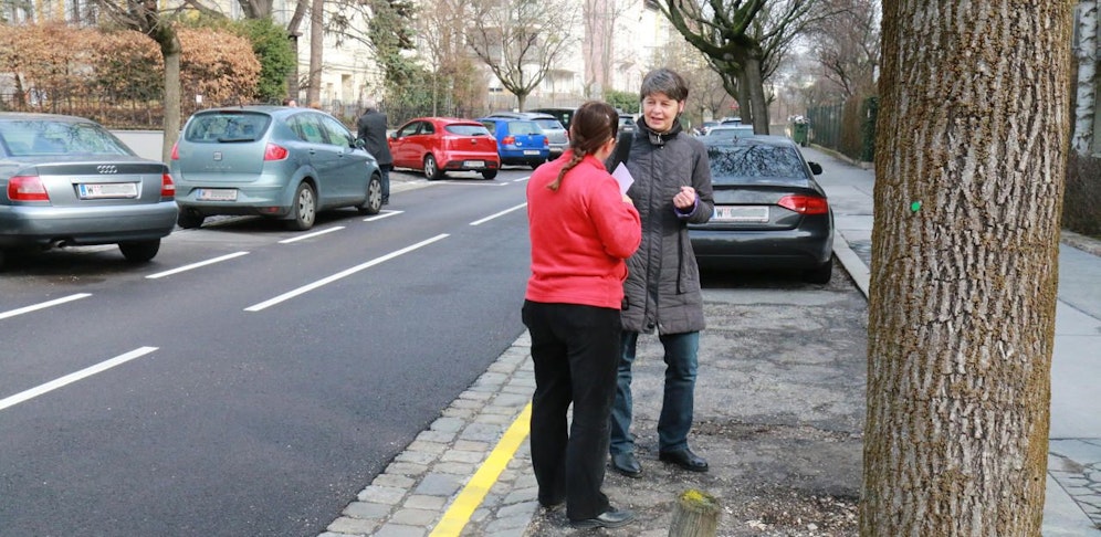 Währings Bezirkschefin Silvia Nossek (Grüne): "Die Sanierung der Baumstandorte wird zurückgestellt."