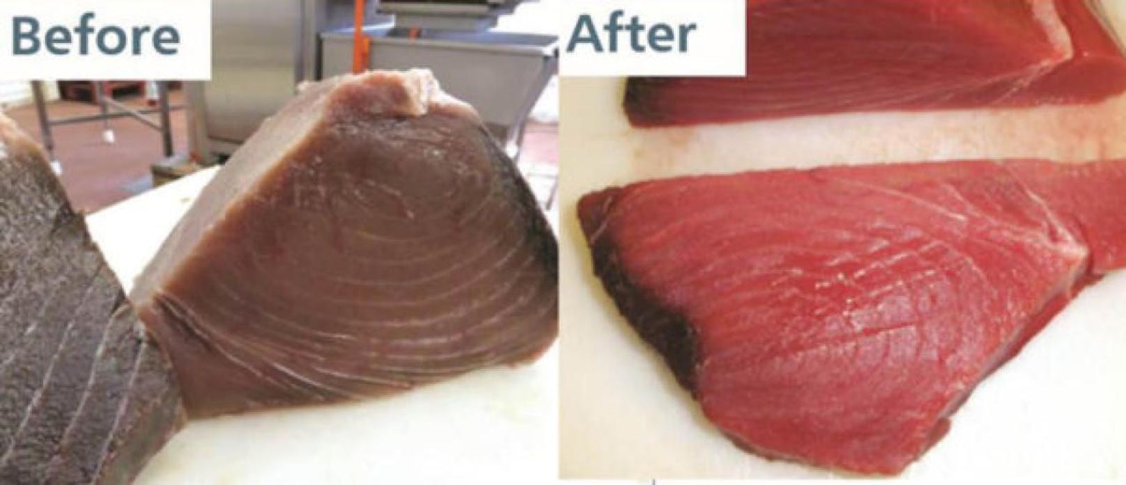 Links im Bild der Thunfisch vor der Behandlung mit Kohlenmonoxid. Nachher sieht das Fleisch aus wie frischer Fisch.