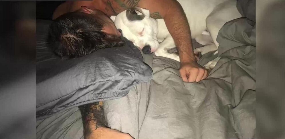 Polizei nimmt Mann seinen Hund weg