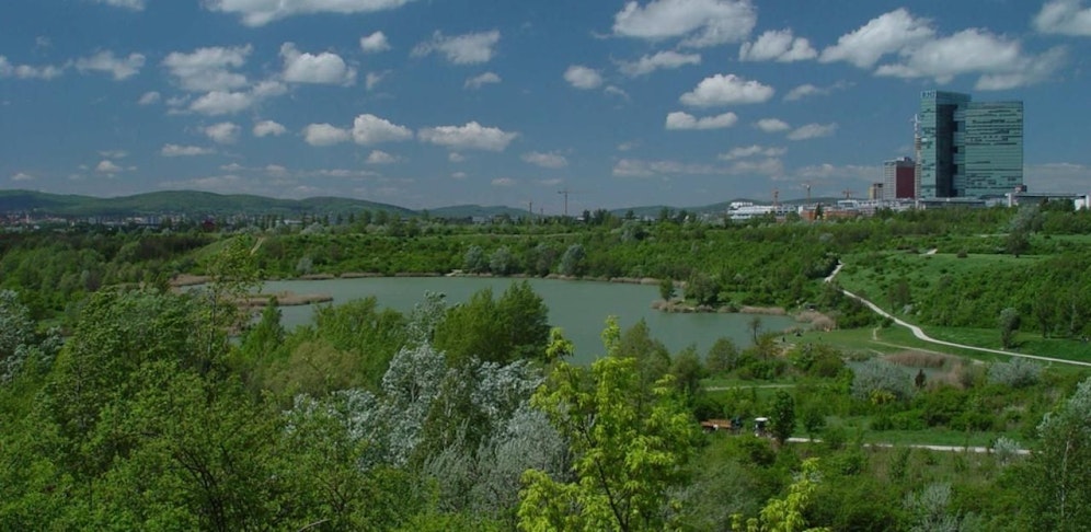 Tödlicher Badeunfall im Wienerbergteich.