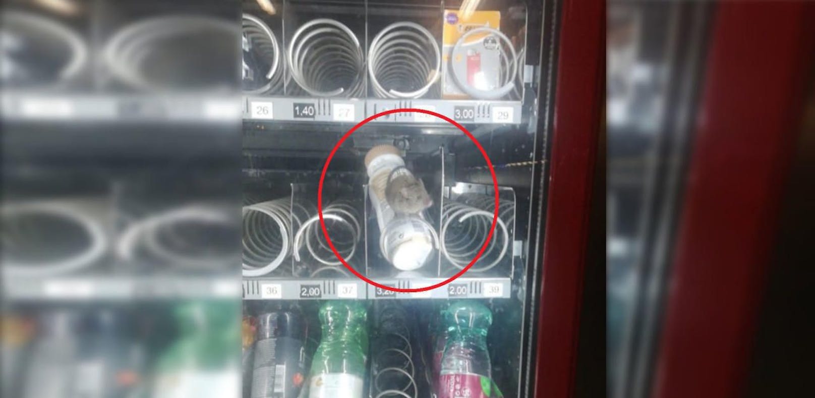 Maus in Getränkeautomat in Wien entdeckt