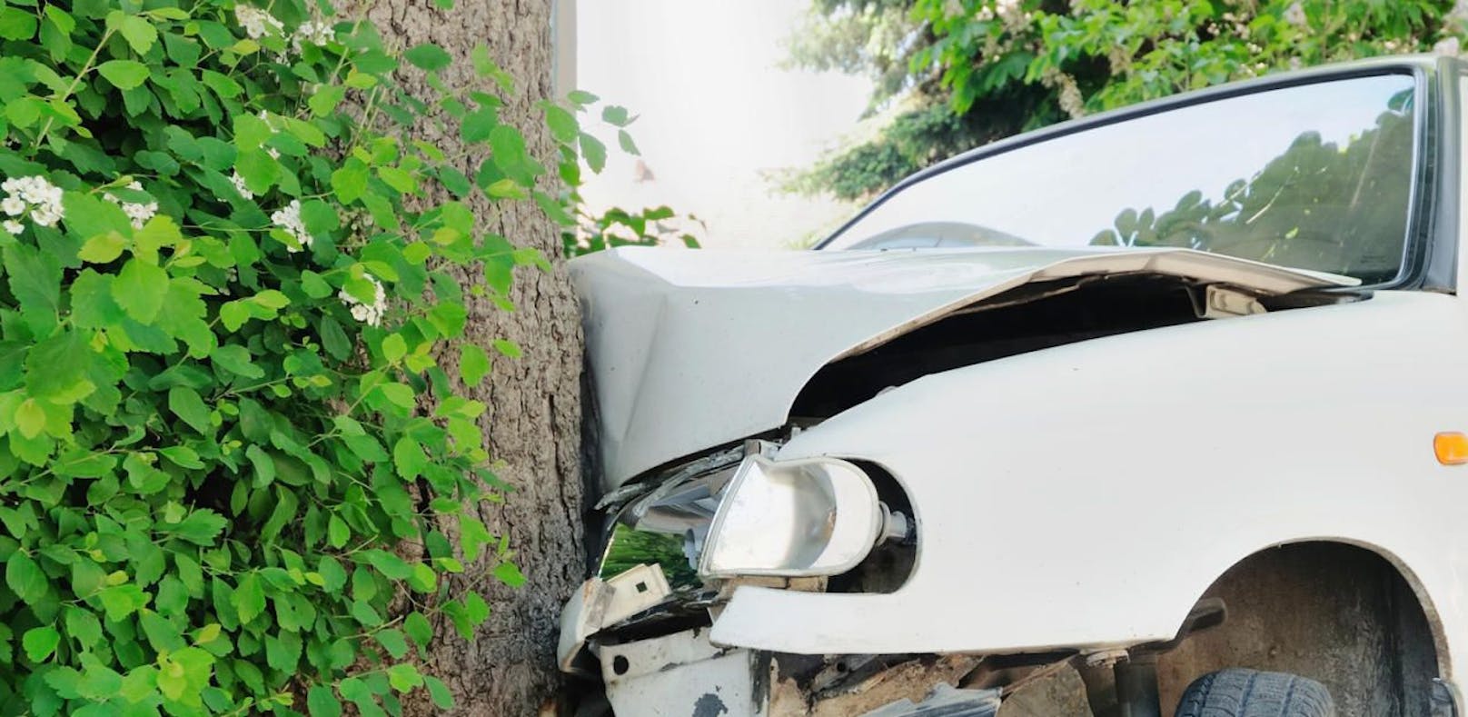 (Symbolfoto): Eine 36-Jährige verlor im Bezirk Murau die Kontrolle über ihr Auto und raste gegen einen Baum
