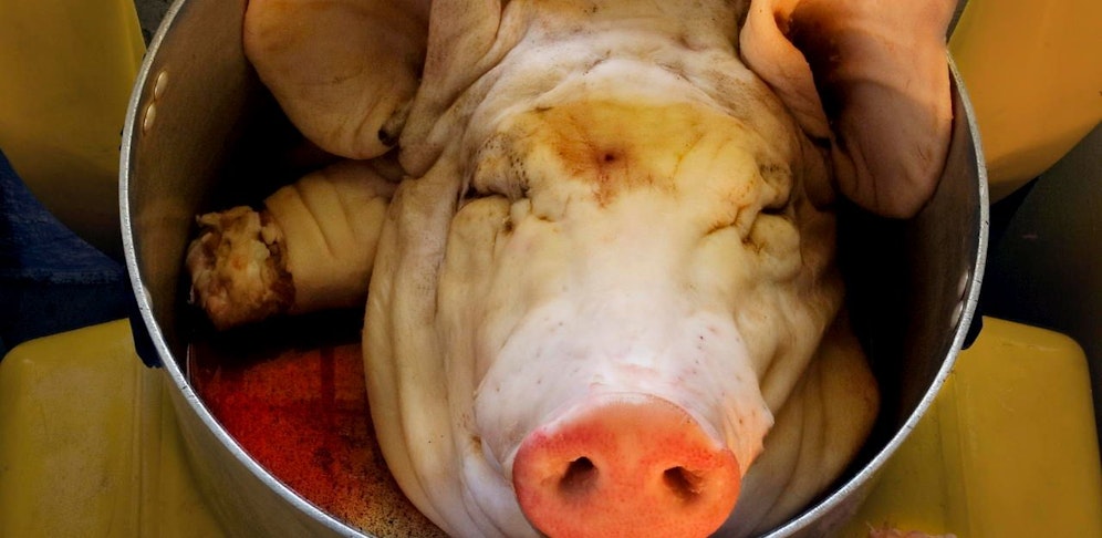 Der Schweinekopf landete vor der Eingangstür (Symbol)