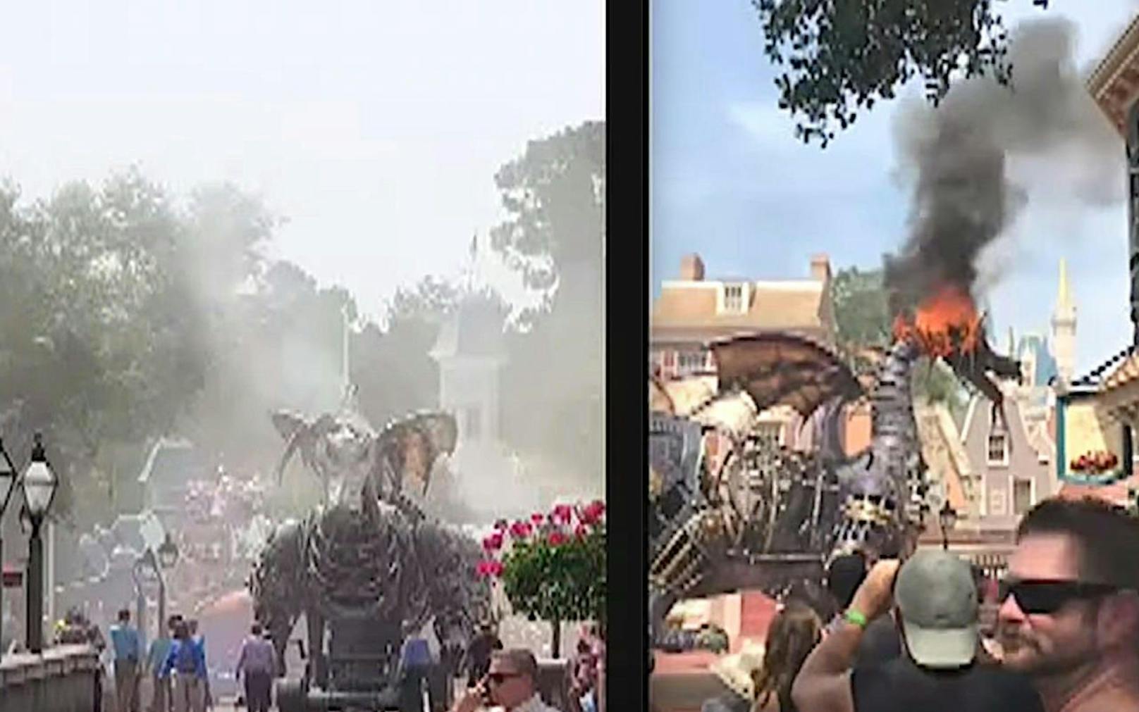 Die unfreiwillige &quot;Feuer-Show&quot;: Der Dornröschen-Drache ging bei der Disney-Parade in Flammen auf.