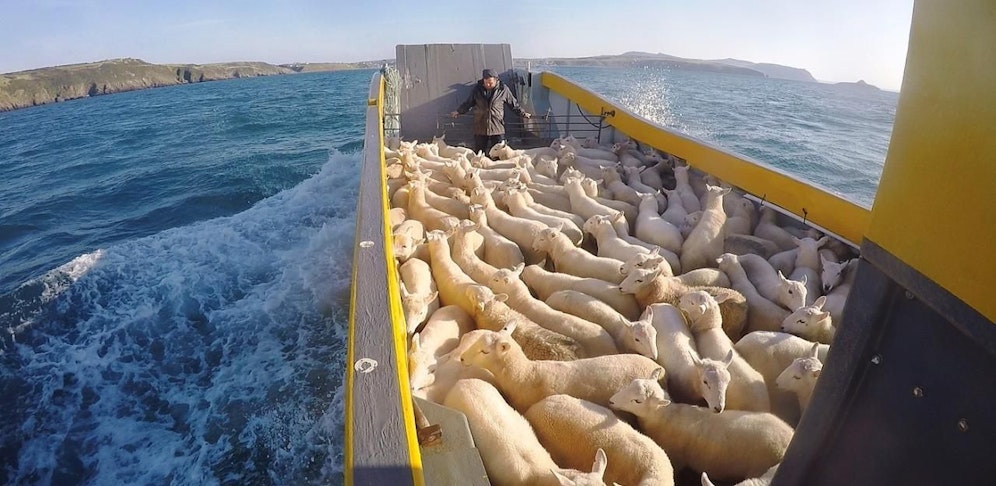 Europas letzte Nomaden 