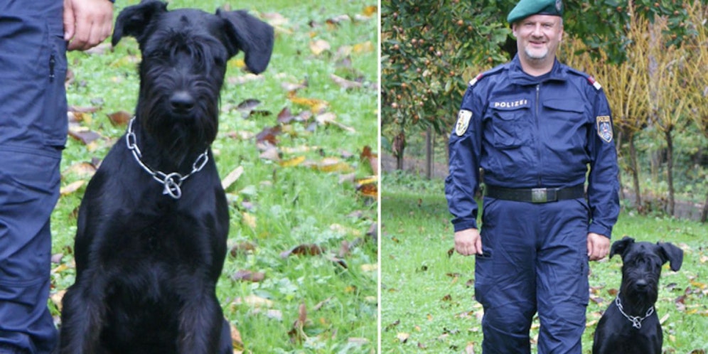 Diensthund "Ecco" und sein Herrchen