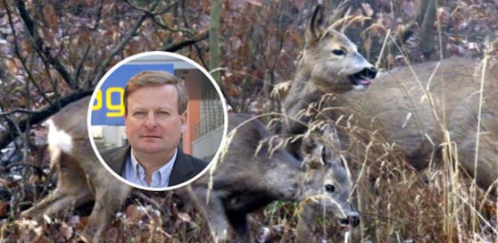 Waldhäusl (Foto) ist für die Gatterjagd.