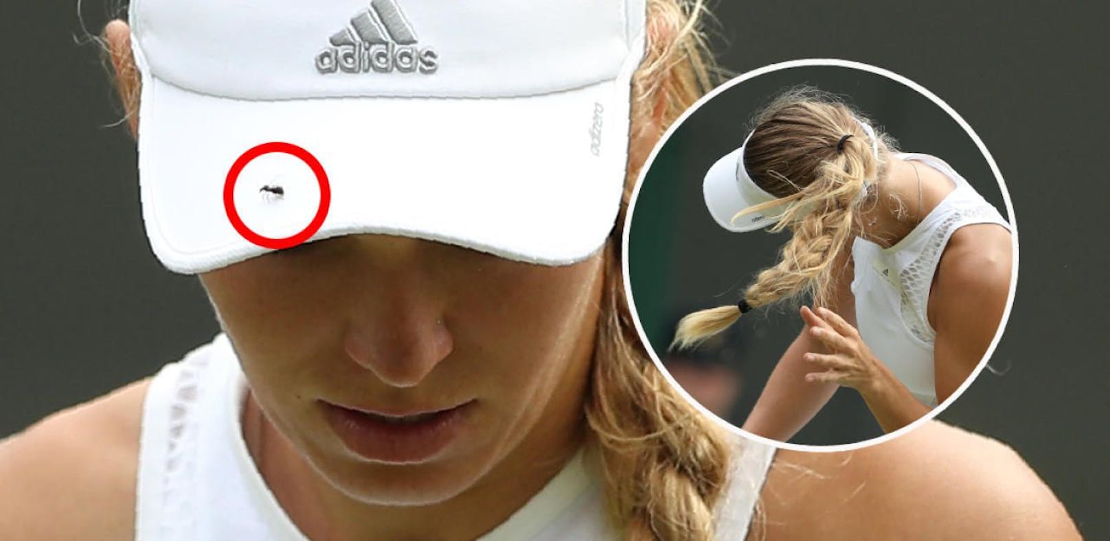 Wozniacki in Wimbledon wegen Ameisen verloren?