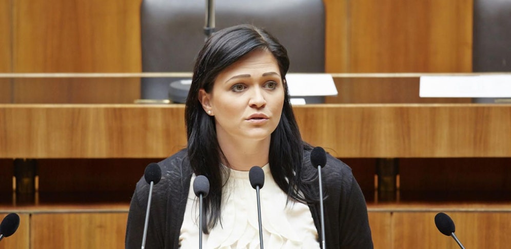 Nationalratsabgeordnete Daniela Holzinger-Vogtenhuber (Liste Pilz) fordert einheitlichere Regelungen für das Kindergeld.