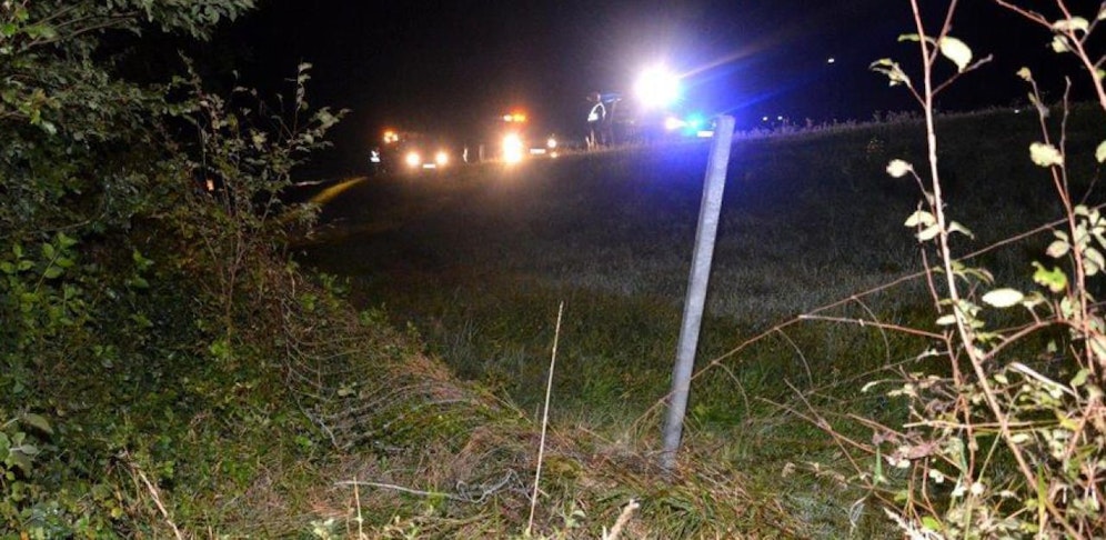 Das Auto erfasste das Wild (Symbolbild)