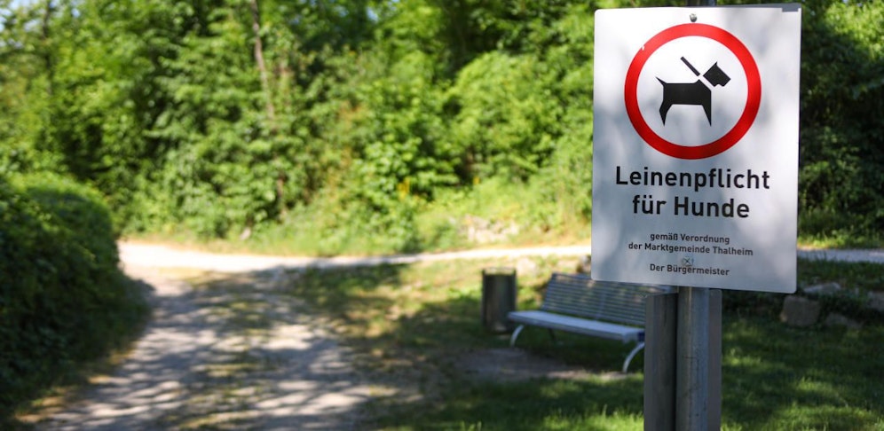 Auf dem Treppelweg, kurz vor dem Angerlehnersteg, kam es zur brutalen Attacke des Hundebesitzers auf den Jogger.  