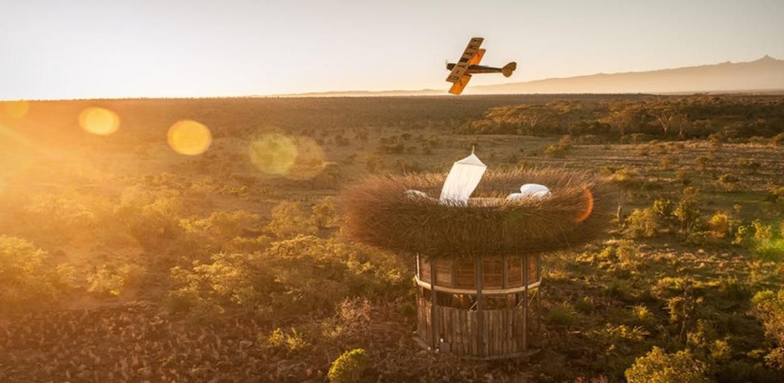 Ein Luxus-Vogelnest für die Safari in Kenia