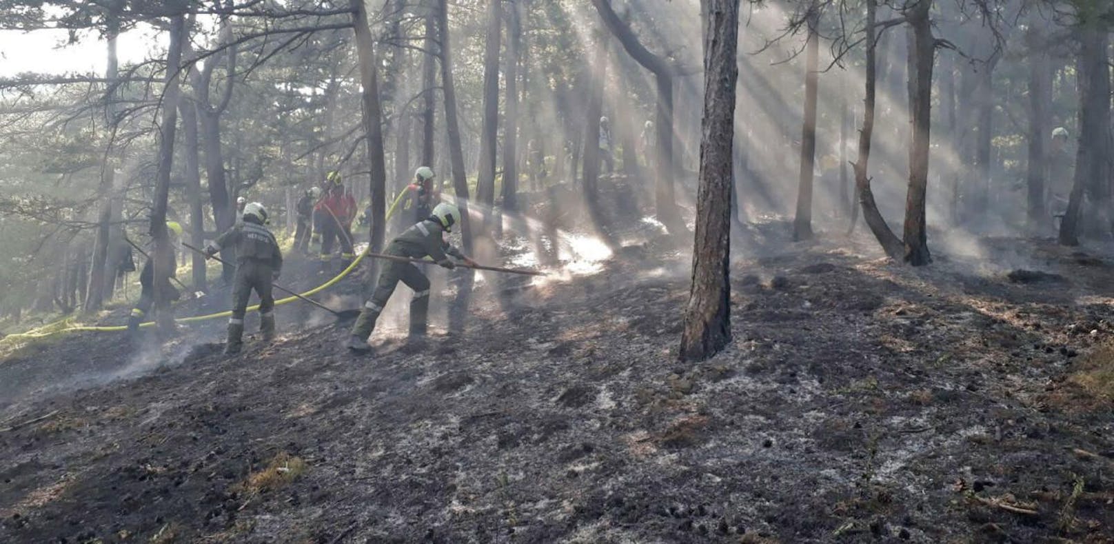 Akute Gefahr: Flammen breiteten sich im Wald aus