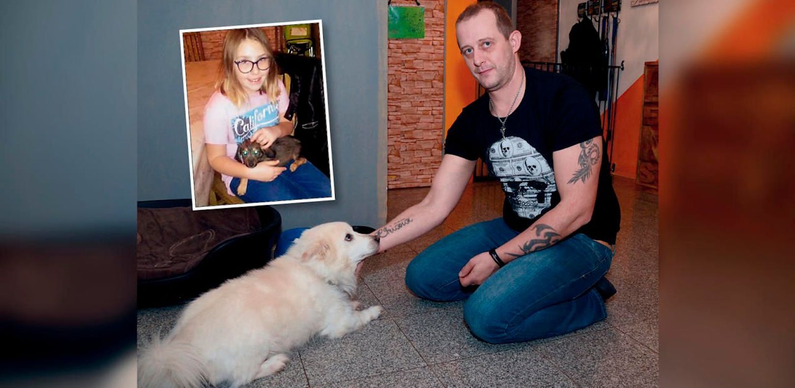 Wegen Facebook: Tierheim nahm Familie Hund weg