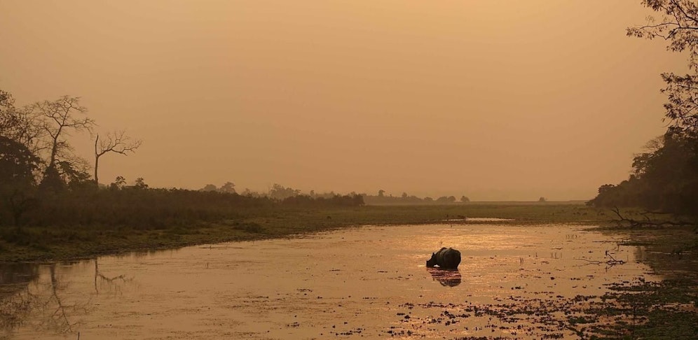 Brahmaputra - Indien : Von den Wäldern zum Tiefland 