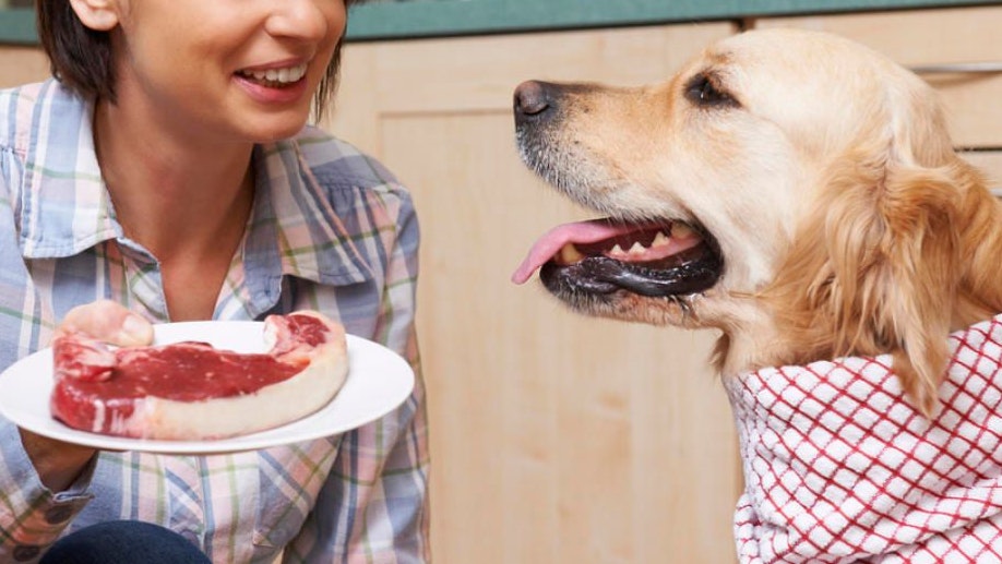 Nimmt Frauchen die Wurst weg, zeigt Hund ihm keine Leckerli mehr. (Symbolbild)