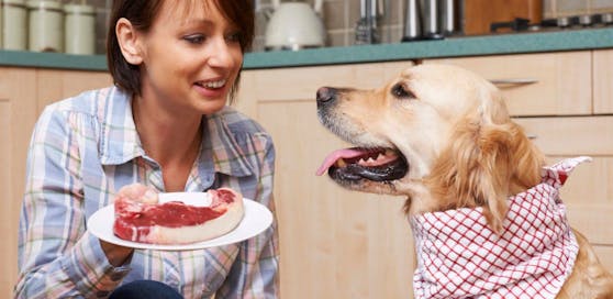 Viele Hunde- und Katzenbesitzer füttern ihren Liebling mittlerweile mit rohen Fleisch - das ist auch als "Barfen" gekannt.