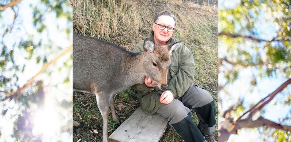 Ein Foto aus glücklichen Tagen gemeinsam: Gerhard G. und seine Hirschkuh "Puppi", die er als Kalb gerettet hatte.