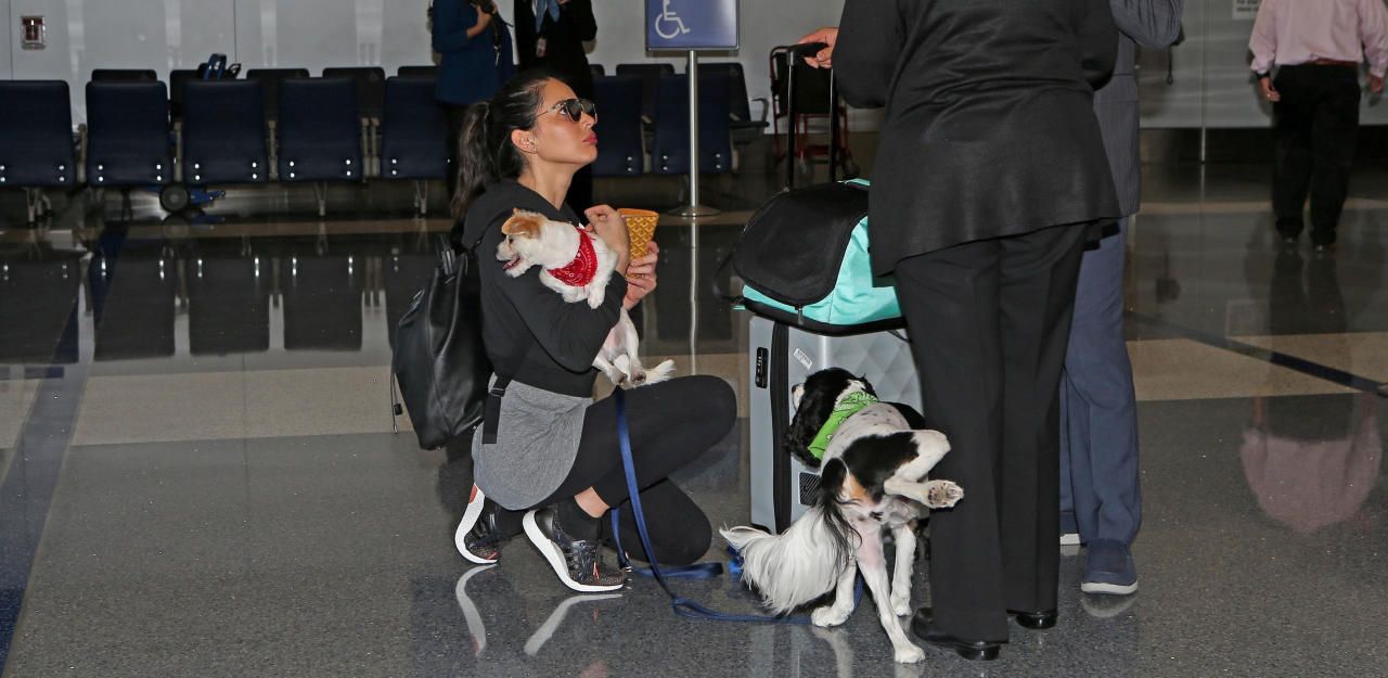 Heute.at - Hund von Model pinkelt Airport-Mitarbeiterin an