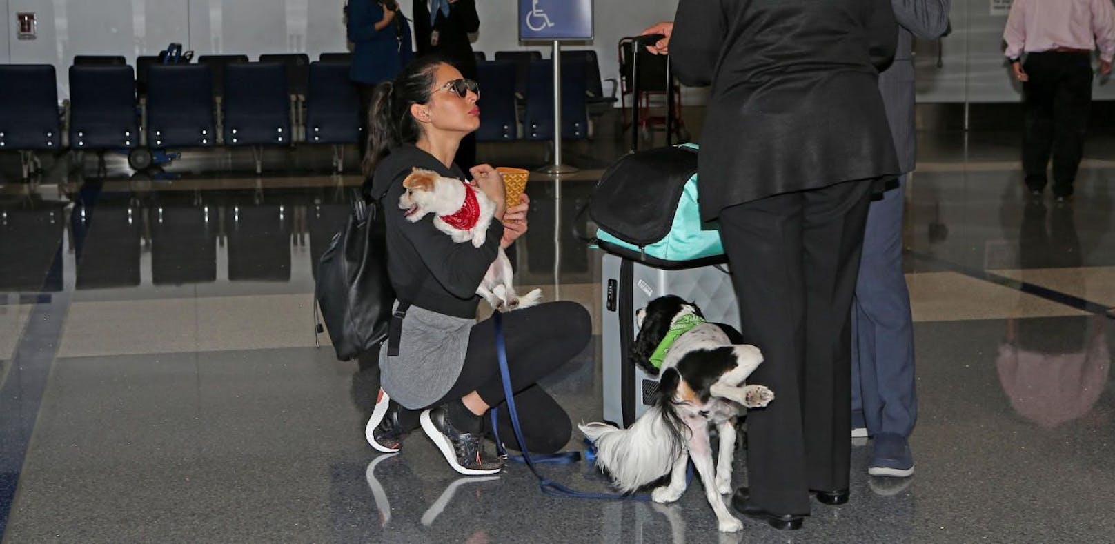 Hund von Model pinkelt Airport-Mitarbeiterin an