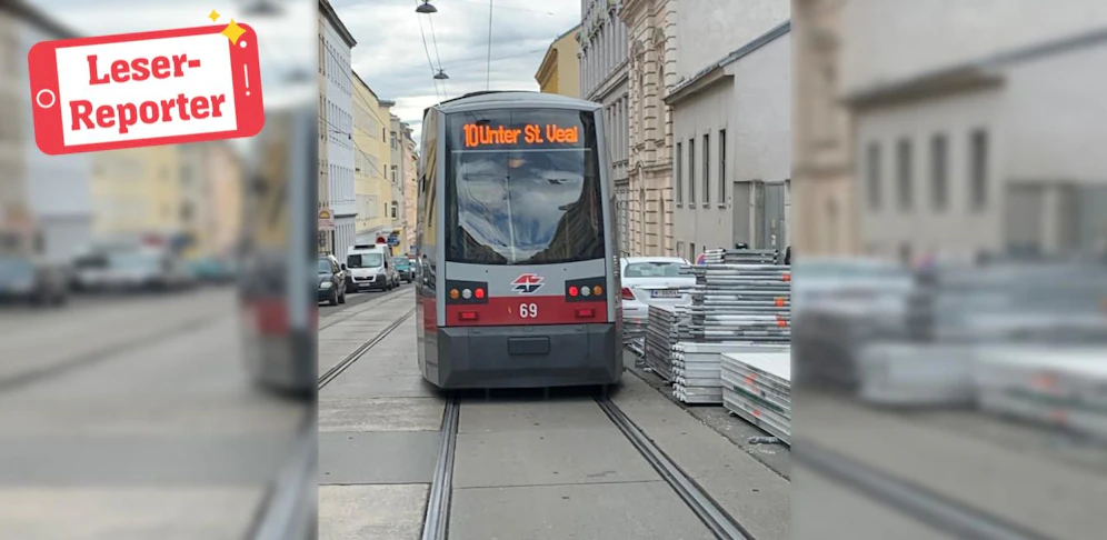 Dachte der Bim-Fahrer an Kalbfleisch? 