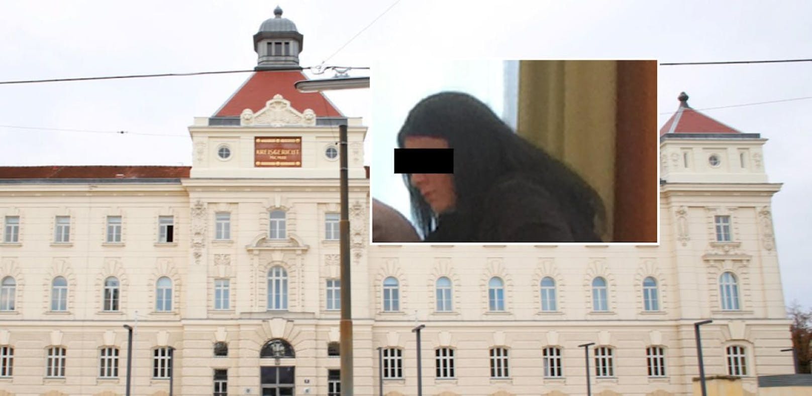 Die Tschechin musste jetzt auf die Anklagebank am Landesgericht in St. Pölten.
