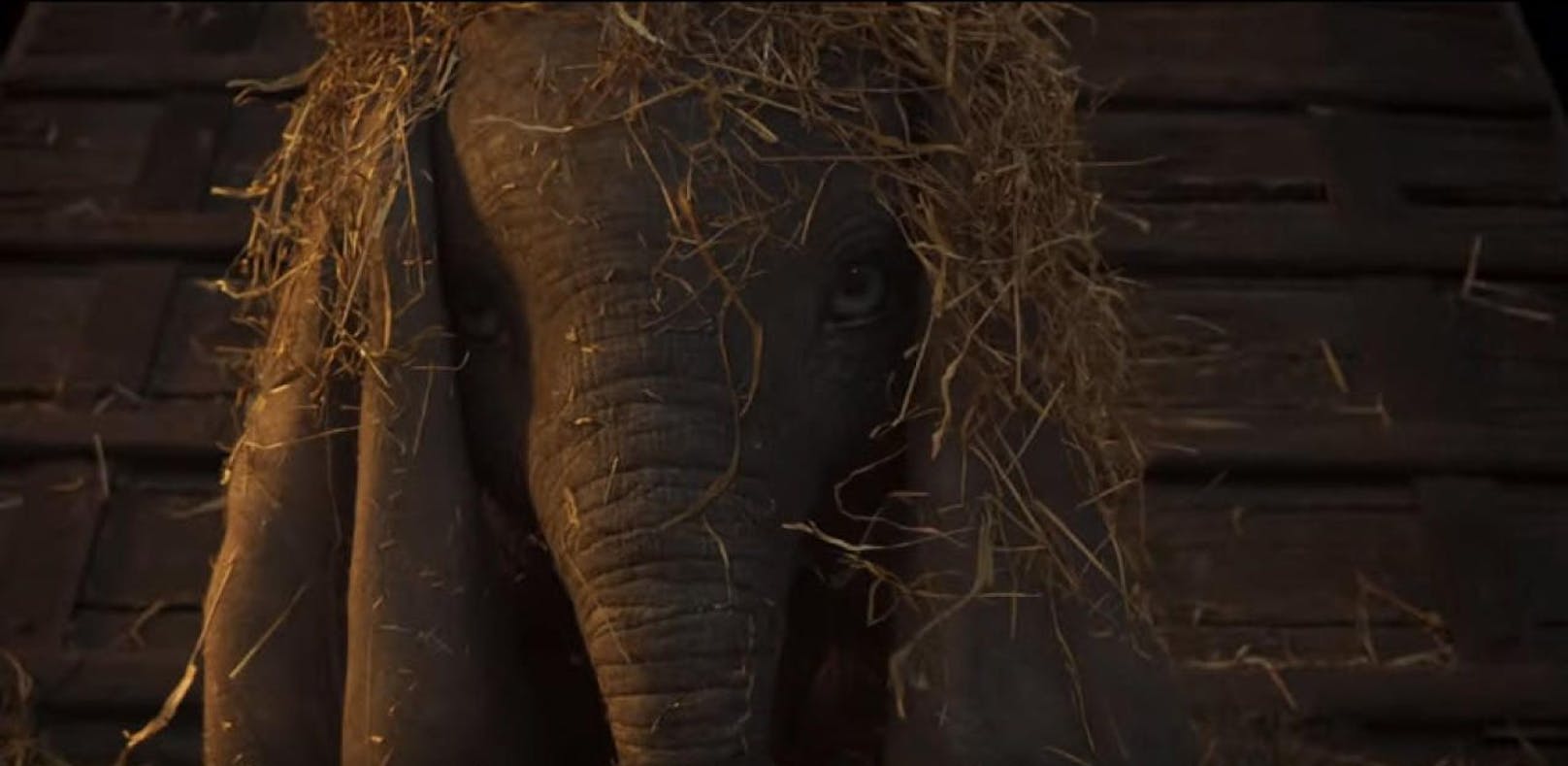 Dumbo hebt im ersten Live Action Trailer ab