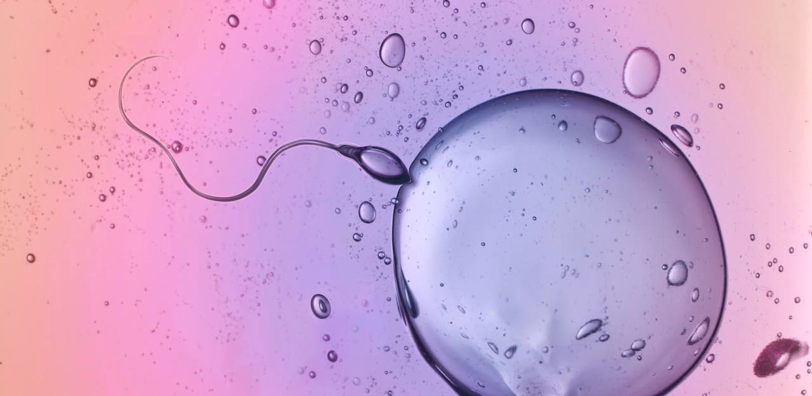 Bei Ländern mit westlichem Lebensstil stellten Forscher einen gravierenden Rückgang der Spermienzahlen fest.
