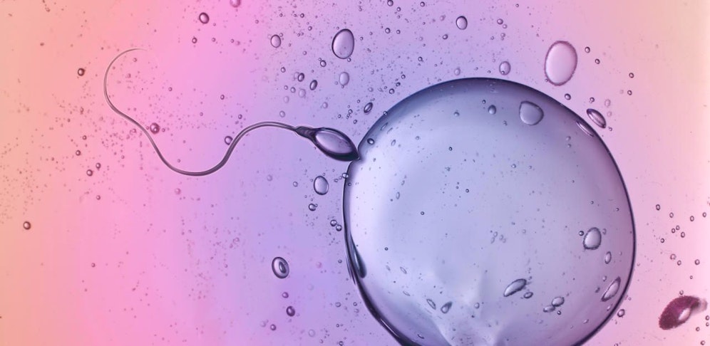 Bei Ländern mit westlichem Lebensstil stellten Forscher einen gravierenden Rückgang der Spermienzahlen fest.