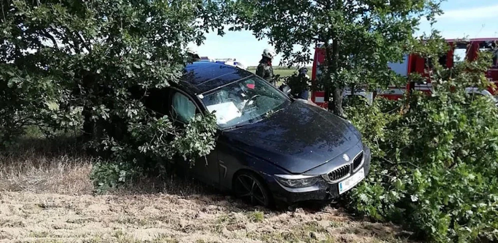 Das Holz verkeilte sich mit dem Auto.