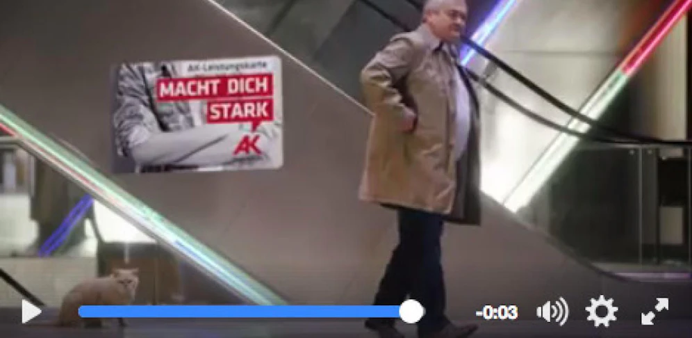 Auch AK-Präsident Johann Kalliauer spielt in dem Rap-Video mit.
