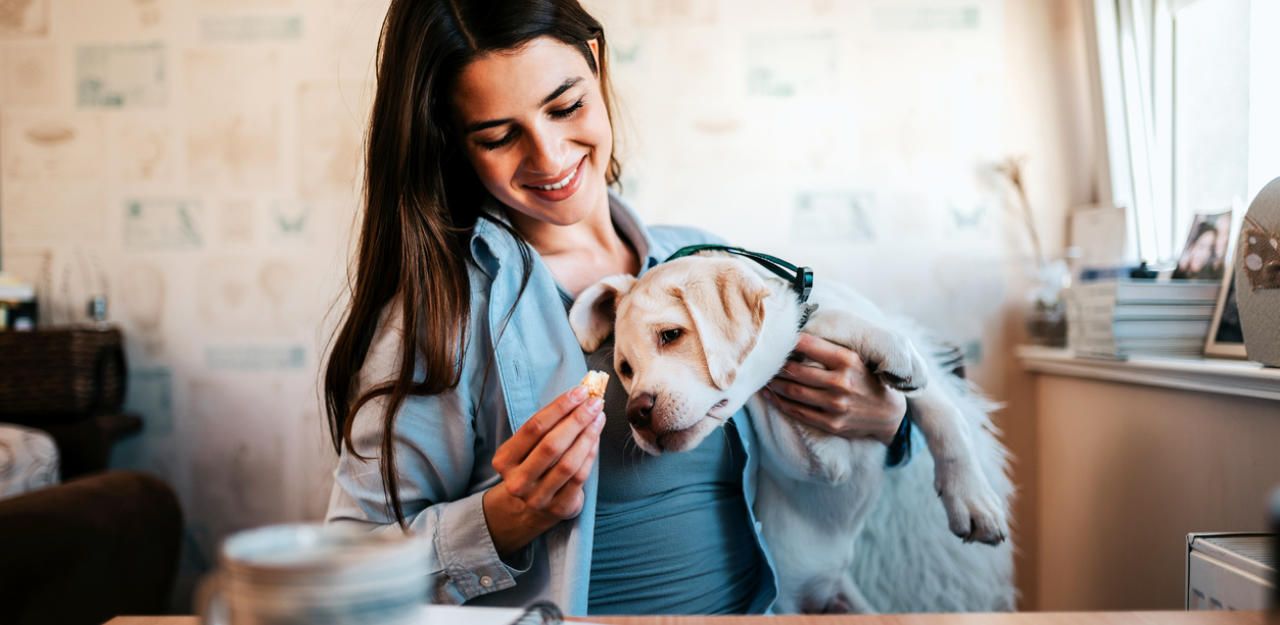 Heute.at - Fortschritt! Hunde denken mit, wenn es um Wurst geht