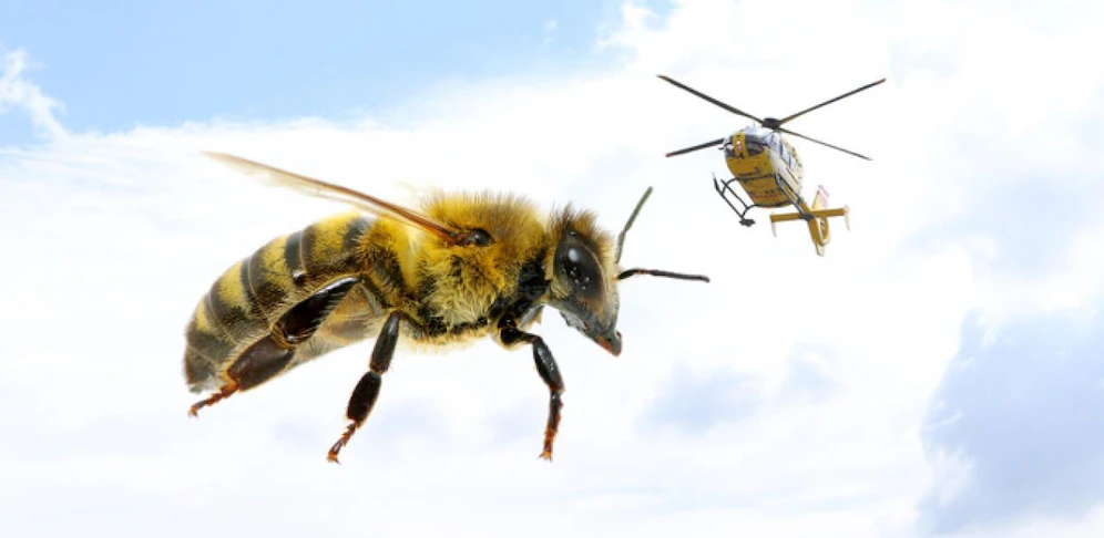 Wegen einer Biene wurde das Mädchen per Heli geholt. 