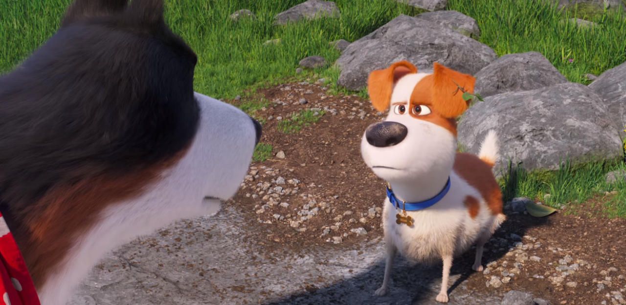 Heute.at - Finaler Trailer zur Fortsetzung von Pets