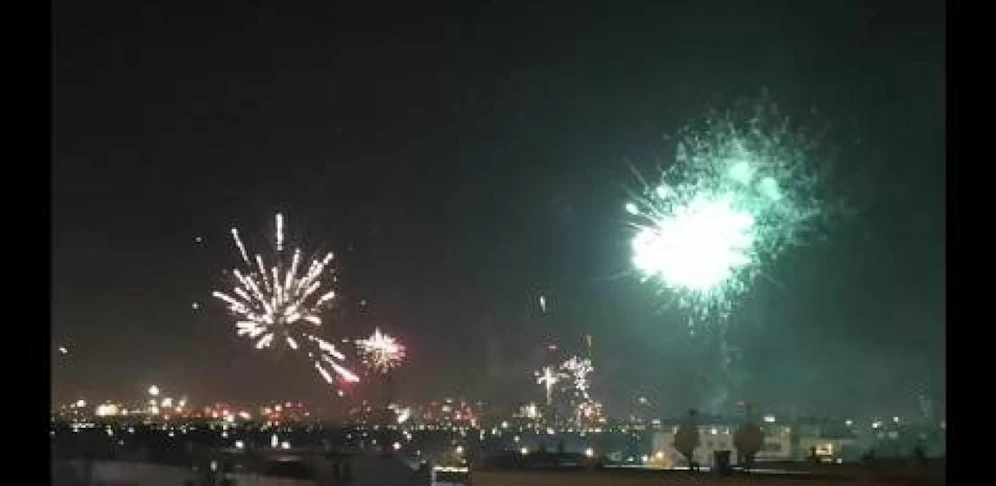 Die Frau beobachtete mit ihrer Familie das Feuerwerk. (Symbolfoto)