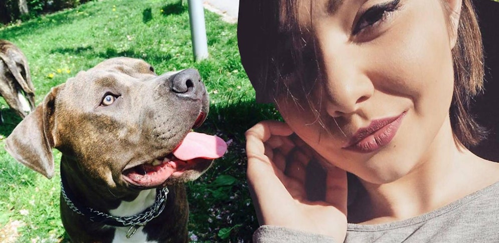 Wer hat Kevin gesehen?