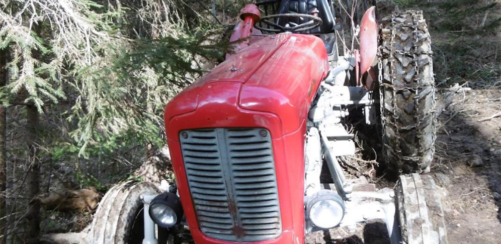Erst Bäume stoppten den Traktor (Symbolfoto).
