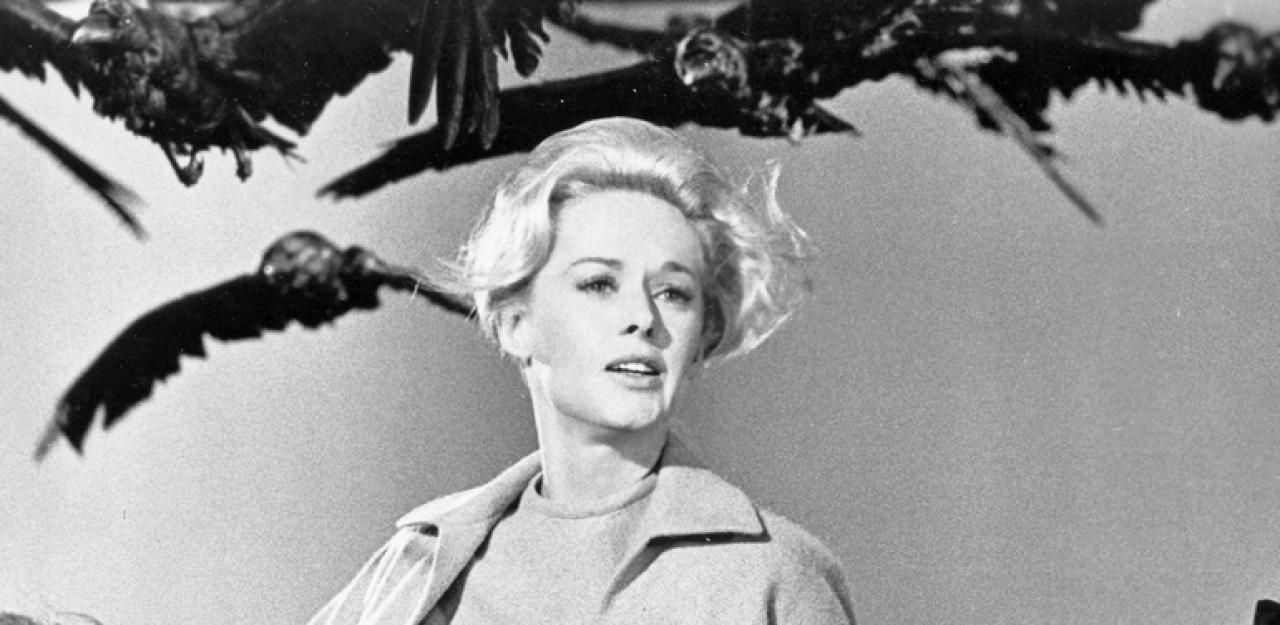 Heute.at - Hitchcock Klassiker bekommt TV-Remake