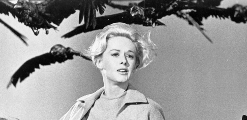 Tippi Hedren in "Die Vögel"