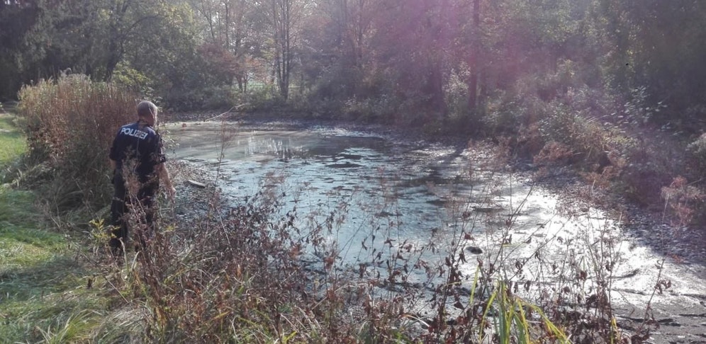 Im Stadtpark von Ried fand die Polizei insgesamt fünf Rohrbomben. 