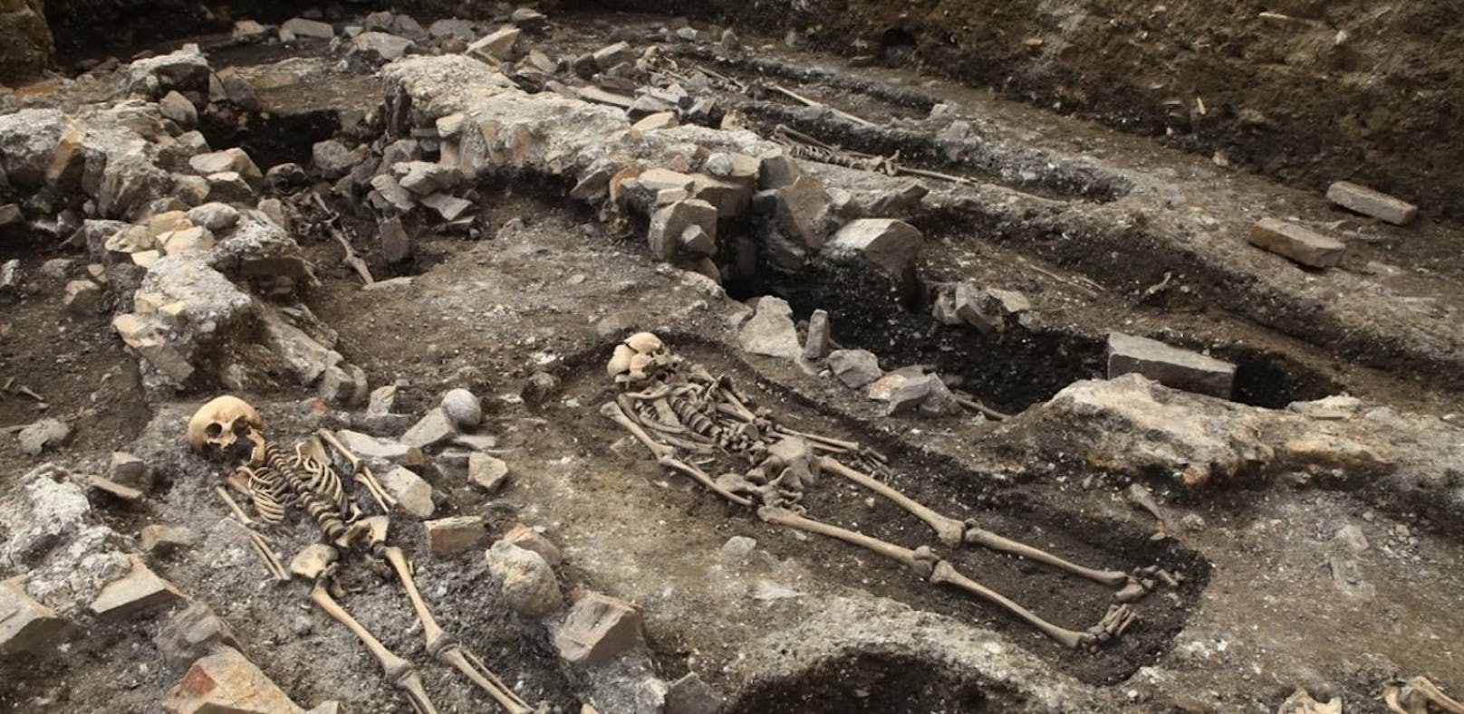 Diese Skelette wurden am Domplatz gefunden. 