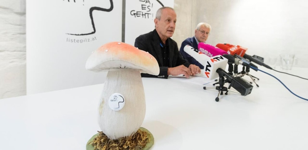 Ein Pilz, Peter Pilz und Bruno Rossmann in ihrer Wahlkampfzentrale, dem "MushRoom".
