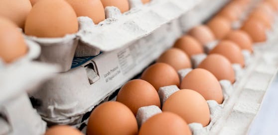 Wegen Gift-Skandal nimmt Aldi Deutschland alle Eier aus dem Sortiment.
