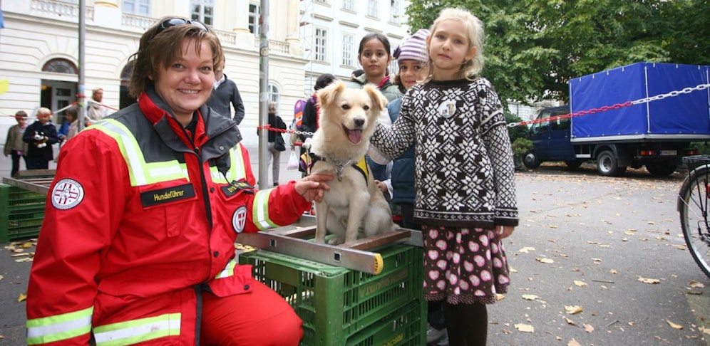 Auch die Rettungshunde sind am Sicherheitsfest mit dabei. 